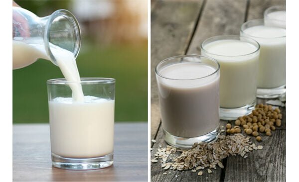 Study says plant-based and cow’s milk not nutritionally equal; here’s what to consider