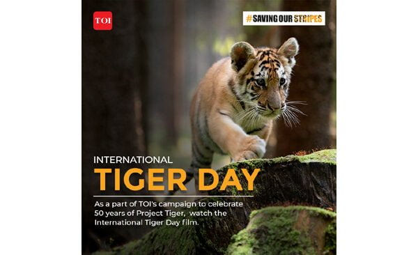 TOI’s “Saving Our Stripes” Campaign Roars to Life with “Tiger Film”