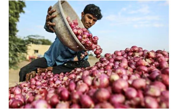 Onion price increases to Rs 70 per kg, Odisha asks NAFED to intervene