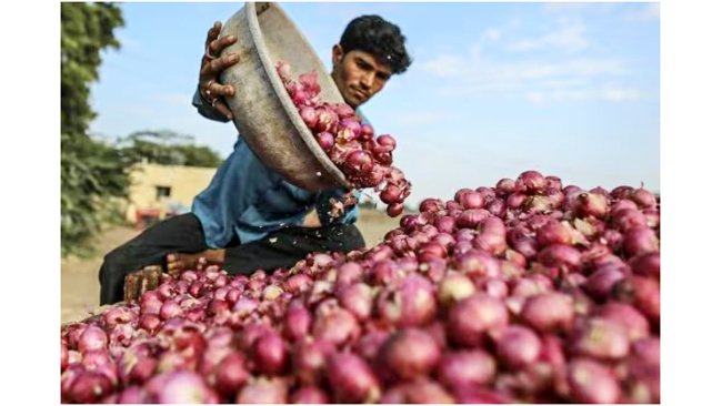 Onion price increases to Rs 70 per kg, Odisha asks NAFED to intervene