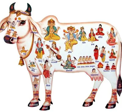 Beliefs related to gods and goddesses; There are 33 types of gods, not 33 crores
